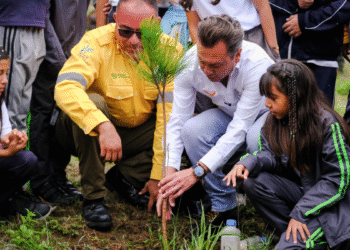 Arranca Pablo Lemus, Gobernador de Jalisco, la Jornada de Reforestaciones 2025