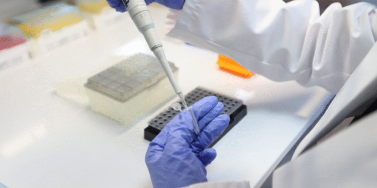 Llega brigada del Centro de Identificación Humana a Autlán de Navarro