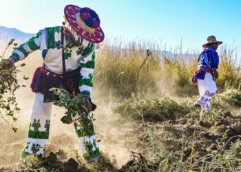 Impulsa Sader Jalisco cultivos de cacahuate orgánico y nopal forrajero en la Región Norte del estado