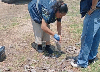 Realiza PROEPA inspección conjunta con ASICA en el Río Blanco por presencia de peces muertos