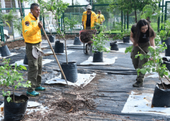 Arranca la temporada de reforestación 2025 en Zapopan