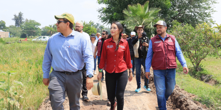 Laura Imelda se reúne con productores de girasol, higo y maíz de Tlaquepaque