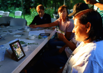 Invita AMBU a Cursos de Verano 2025 para jóvenes y personas adultas en el Bosque Los Colomos 
