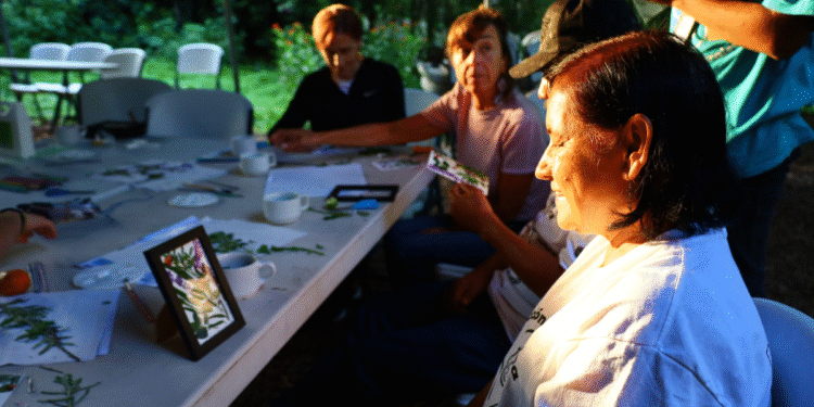 Invita AMBU a Cursos de Verano 2025 para jóvenes y personas adultas en el Bosque Los Colomos 