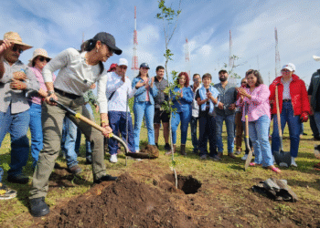 Inicia Gobierno de Tlaquepaque campaña de reforestación