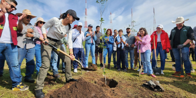 Inicia Gobierno de Tlaquepaque campaña de reforestación