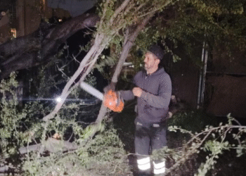 Gobierno de Tlaquepaque realiza operativo para el retiro de árboles secos o en riesgo