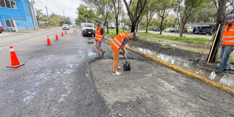 Gobierno de Tlajomulco refuerza acciones emergentes en avenida Adolf B. Horn