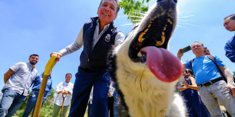 Encabeza Pablo Lemus, Gobernador de Jalisco, reforestación del Bosque Pedagógico del Agua Colomos III