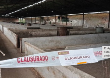Clausura PROEPA cuatro establecimientos que incumplían la ley ambiental en Jalisco