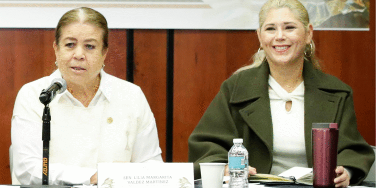 Concluyen comparecencias para integrar el Consejo Nacional de Búsqueda