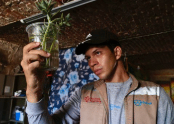 Llama SSJ a tomar precauciones contra el dengue durante vacaciones
