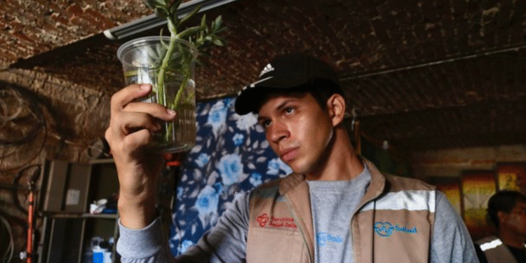 Llama SSJ a tomar precauciones contra el dengue durante vacaciones