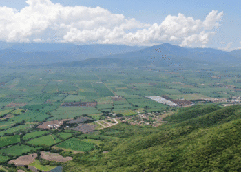 Certifica SEMADET al Ejido El Limón como Área Estatal Destinada Voluntariamente a la Conservación