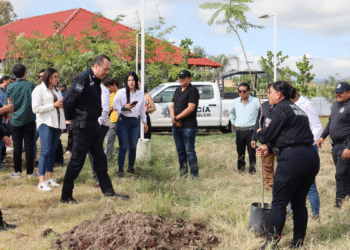 Gobierno de Tlajomulco Verde y Seguro impulsa la reforestación en El Zapote del Valle