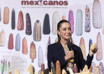 Presidenta Claudia Sheinbaum anuncia programa “Sin maíz no hay país” para producir con bienestar