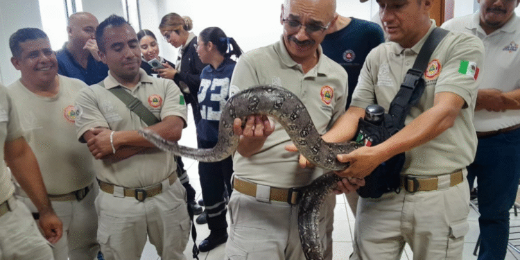 Imparten curso de identificación de manejo, captura de  animales ponzoñosos