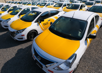Presenta SETRAN transparencia en los padrones de concesiones y autorizaciones de los servicios de transporte público