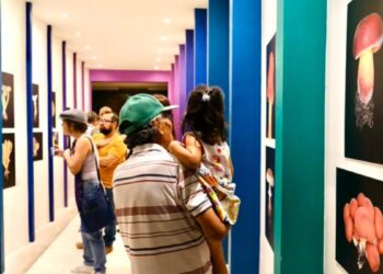 Identifican 213 especies de hongos del Bosque La Primavera en libro ilustrado y exposición fotográfica