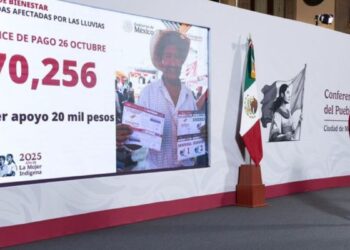 Gobierno de México: se han otorgado 70 mil 256 apoyos a personas afectadas por las lluvias