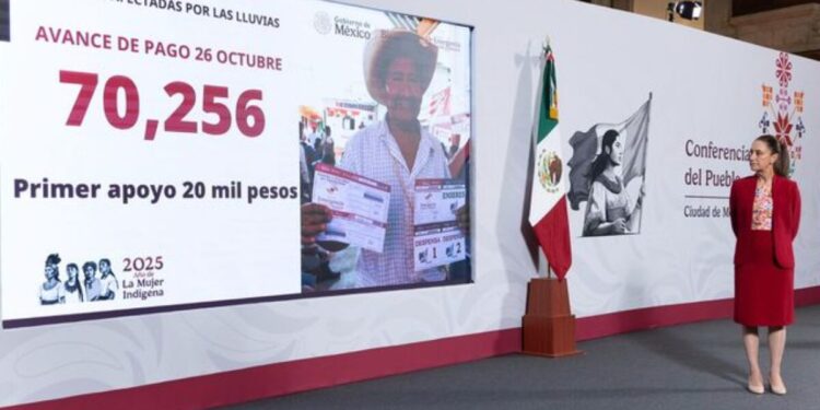 Gobierno de México: se han otorgado 70 mil 256 apoyos a personas afectadas por las lluvias