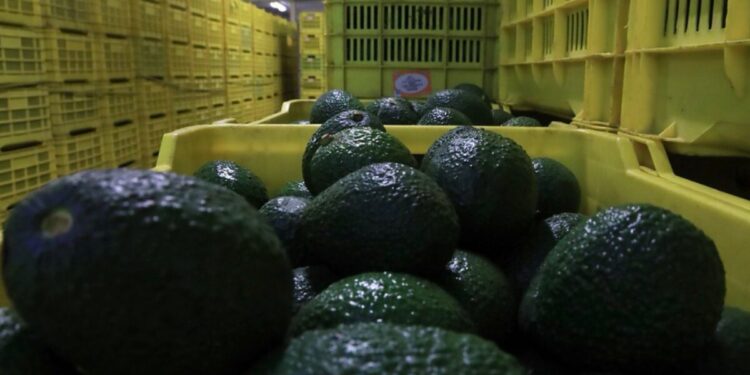 Fortalece Jalisco su liderazgo en sanidad e inocuidad agroalimentaria