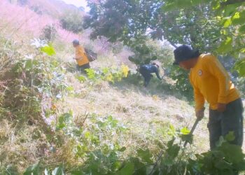 Construye Gobierno de Tlajomulco líneas negras en La Primavera