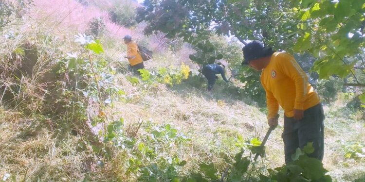 Construye Gobierno de Tlajomulco líneas negras en La Primavera