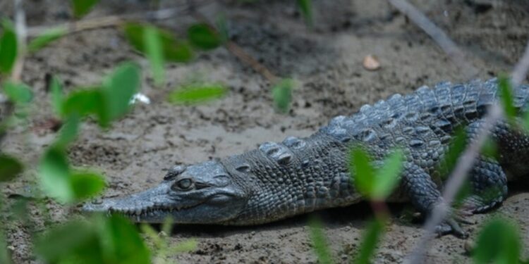 Convoca SEMADET al concurso de fotografía ambiental ‘Jalisco espectacular: cuidemos lo nuestro’