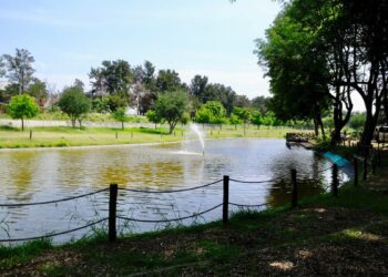 Informa AMBU horario especial del Parque Ávila Camacho para lo que resta de 2025