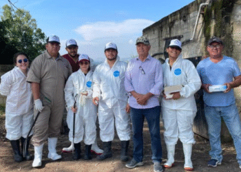 Gobierno de Tlajomulco impulsa la sanidad porcina con campaña de vacunación contra el PRRS