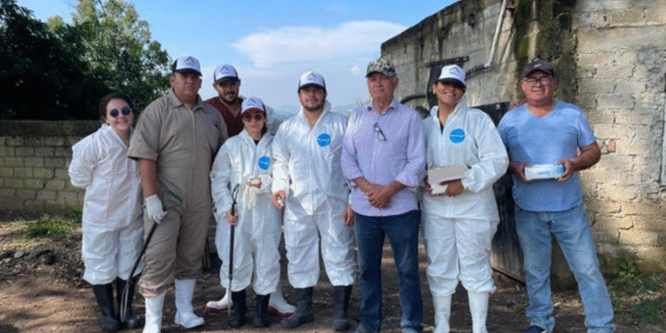 Gobierno de Tlajomulco impulsa la sanidad porcina con campaña de vacunación contra el PRRS