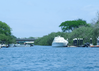 Refuerzan Gobierno de Jalisco y Puerto Vallarta implementación de medidas para seguridad para la convivencia responsable humano-cocodrilo