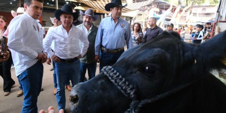 Recorre Pablo Lemus Navarro, Gobernador de Jalisco, Expo Ganadera Jalisco 2025 y refrenda apoyo al campo jalisciense