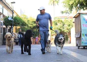 Gobierno de Tlaquepaque corre con el corazón: llega la carrera pedestre 3KAN