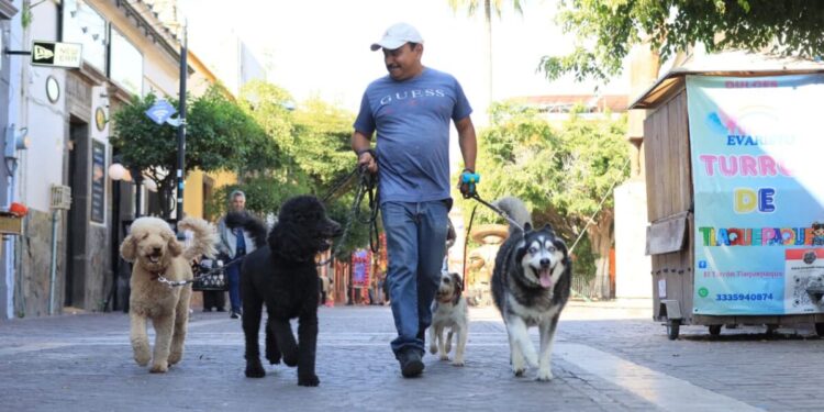Gobierno de Tlaquepaque corre con el corazón: llega la carrera pedestre 3KAN