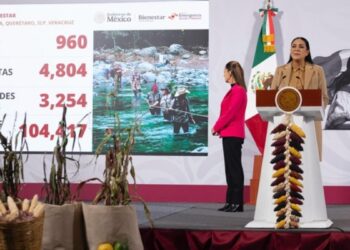 Se han destinado más de 7 mil 426 mdp en apoyo a 104 mil familias afectadas por lluvias; en diciembre inicia reconstrucción: Presidenta