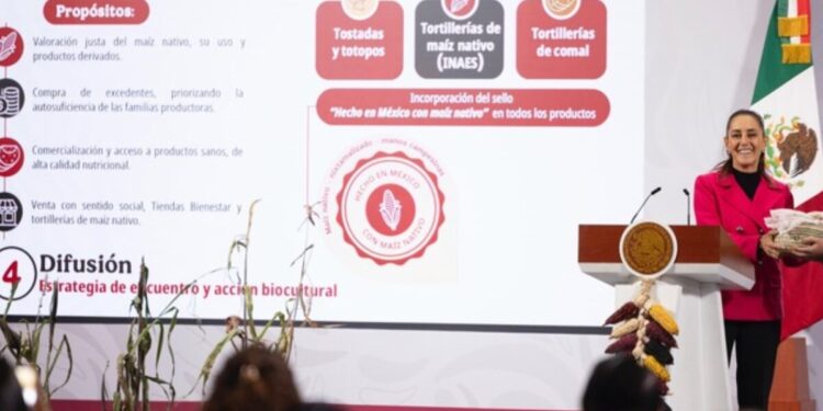 Gobierno de México presenta Plan Nacional de Maíz Nativo: El Maíz es la Raíz que apoyará a 1.5 millones de campesinas y campesinos