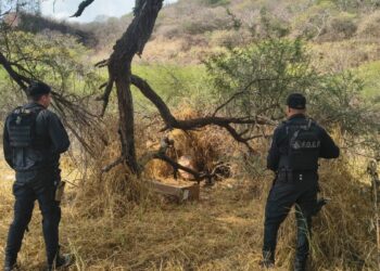 Localiza Policía de Jalisco armamento que aparentemente fue abandonado en Techaluta de Montenegro