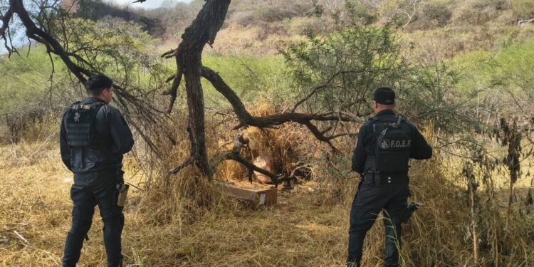 Localiza Policía de Jalisco armamento que aparentemente fue abandonado en Techaluta de Montenegro