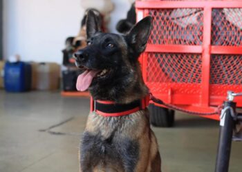 Bomberos de Tlaquepaque refuerzan operativo para detectar y decomisar pirotecnia