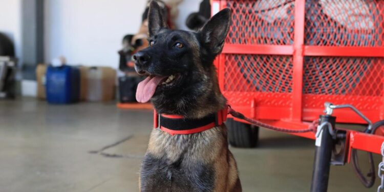 Bomberos de Tlaquepaque refuerzan operativo para detectar y decomisar pirotecnia