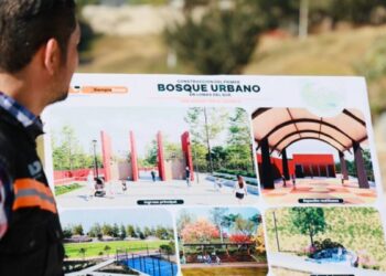 Lomas del Sur avanza hacia su primer Bosque Urbano, un proyecto que transformará la vida de miles de familias
