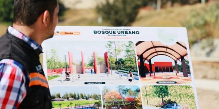Lomas del Sur avanza hacia su primer Bosque Urbano, un proyecto que transformará la vida de miles de familias