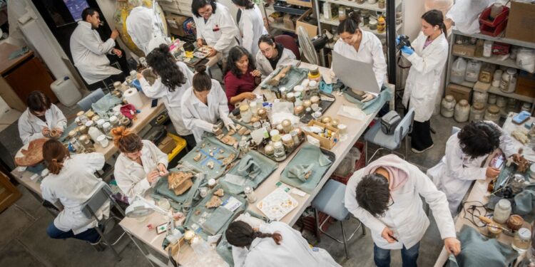 Abre Escuela de Conservación y Restauración de Occidente (ECRO) registro para la Licenciatura en Restauración de Bienes Muebles