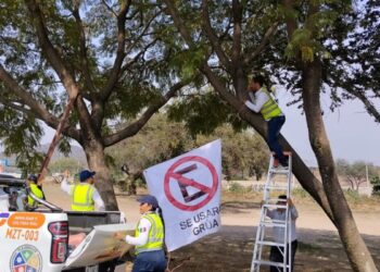 Se alista operativo vial para la celebración de los Santos Reyes en Cajititlán