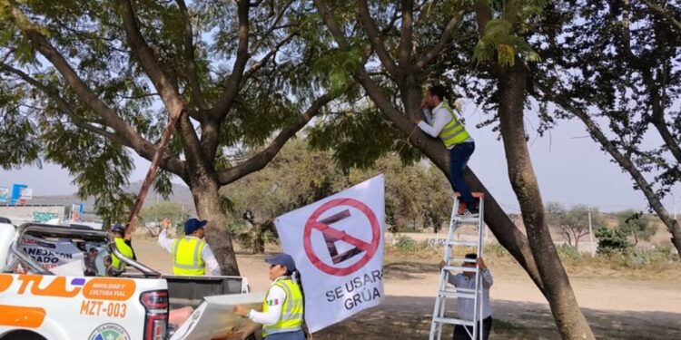 Se alista operativo vial para la celebración de los Santos Reyes en Cajititlán