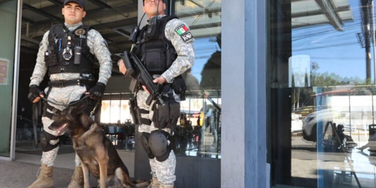 Policía de Zapopan refuerza acciones preventivas contra la desaparición de personas y el reclutamiento forzado