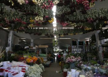 Crece hasta 25 por ciento demanda de rosas por Día del Amor y la Amistad en Jalisco