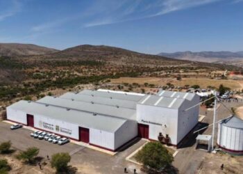 Alcanzamos la autosuficiencia de frijol gracias a Zacatecas: Presidenta al inaugurar Planta Embolsadora “Beatriz González Ortega”